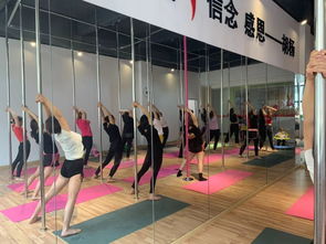 勁爆好消息！胡楊舞蹈周年特惠，僅198元體驗(yàn)舞蹈魅力！